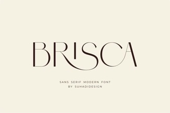 Creative Brisca Font for Unique Design Projects
